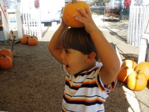 Oliver found his pumpkin