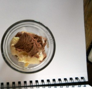 Blue Bell Chocolate Vanilla