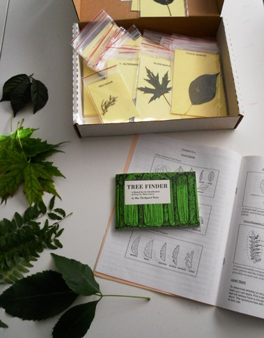 Leaf Kit - Science activity