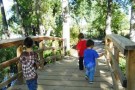 Wordless Wednesday boys on bridge
