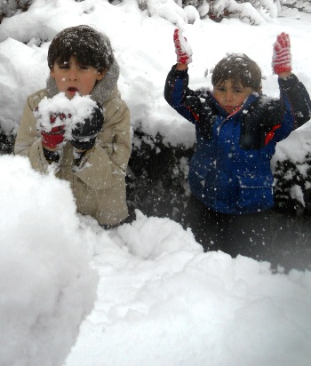 snowstorm