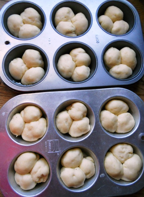 Cloverleaf Roll Dough