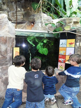 Denver Zoo Tropical Discovery