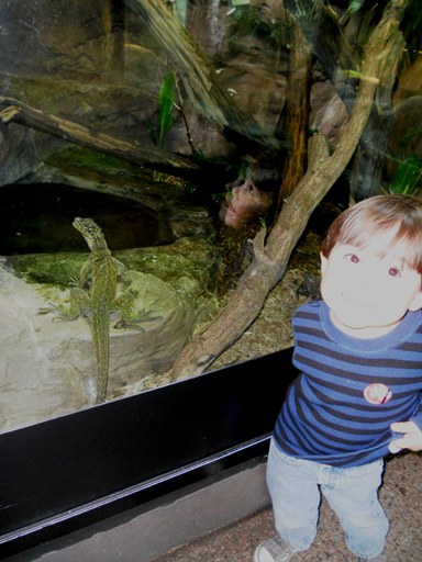 Samuel with a lizard