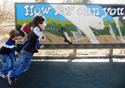 How far can you jump?