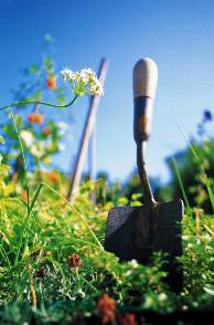 gardening