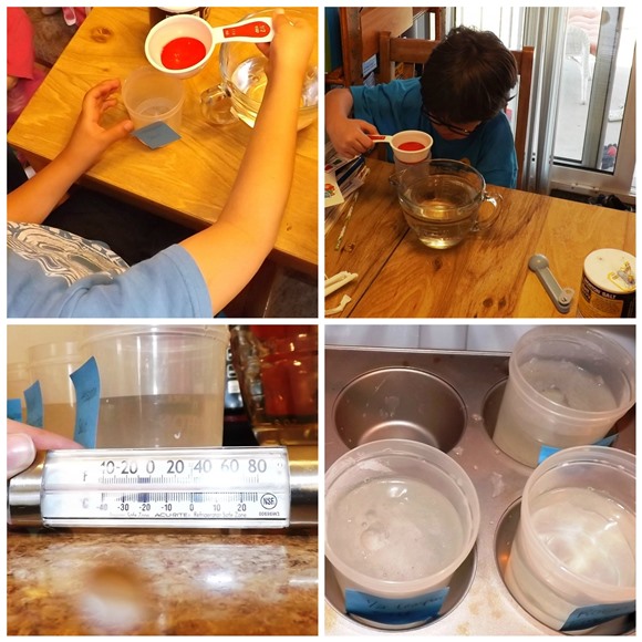 Easy Science Fair Project