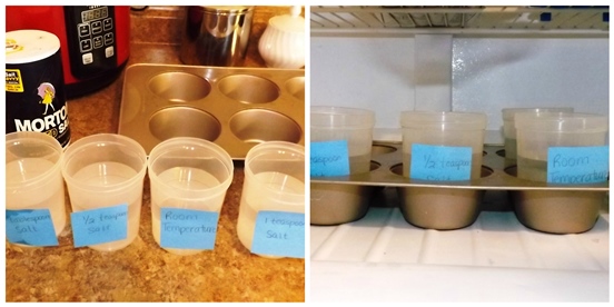 Water Science Experiment