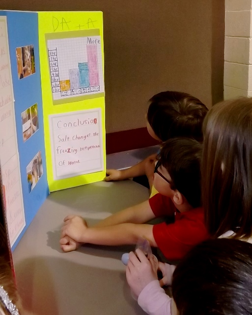 Science Fair Experiment